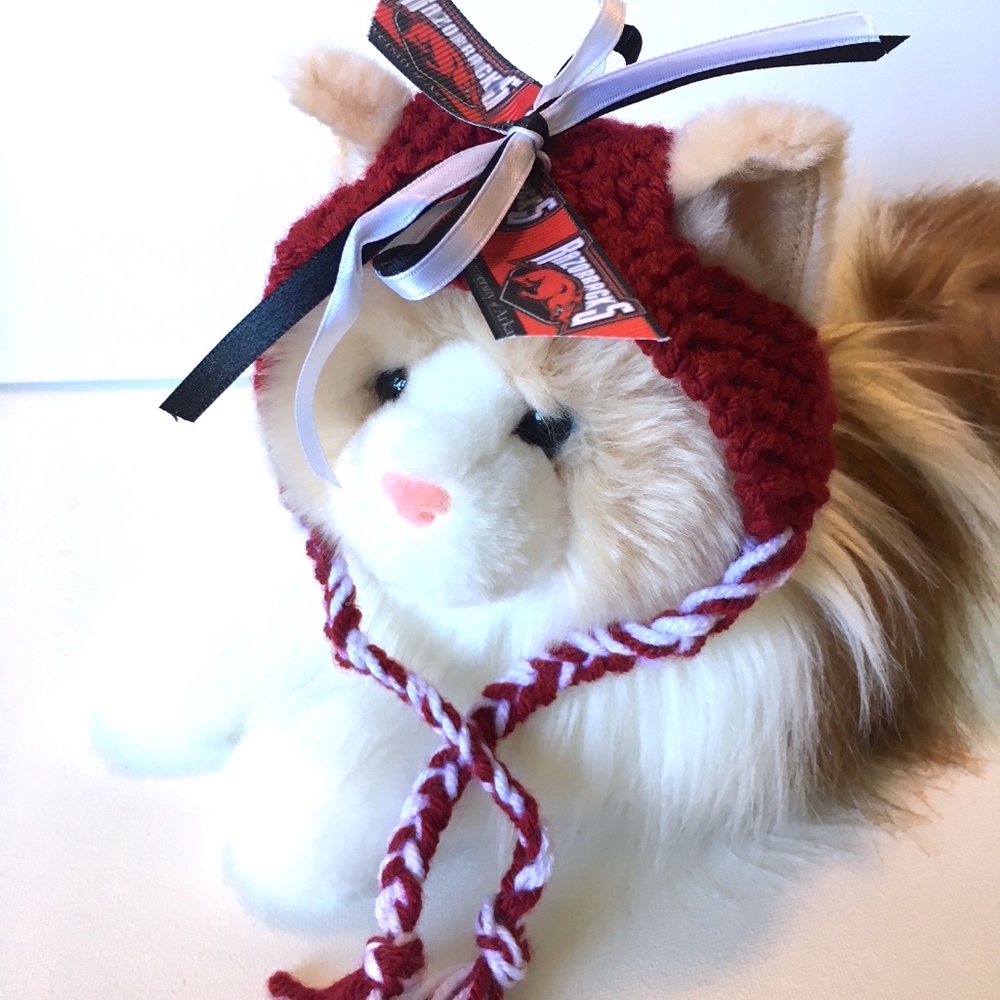 University Of Arkansas RAZORBACKS Cat Hat *NEW*